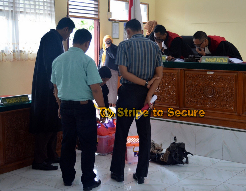 melihat bukti kulit harimau Sumatera waktu di Pengadilan Negeri Rengat